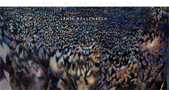 Desktop Screenshot of jamiebollenbach.com